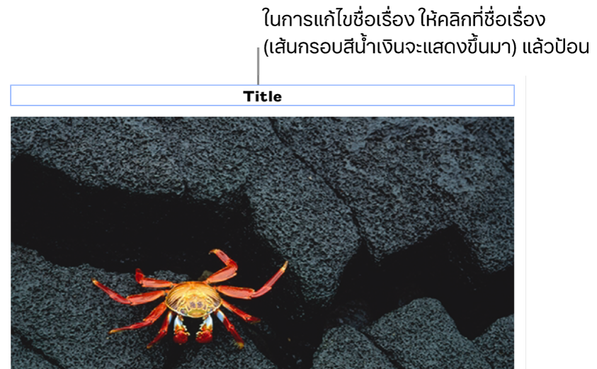 ชื่อเรื่องในช่องว่าง “ชื่อเรื่อง” แสดงขึ้นมาด้านล่างรูปภาพ โดยเส้นกรอบสีน้ำเงินรอบช่องชื่อเรื่องแสดงว่าถูกเลือก