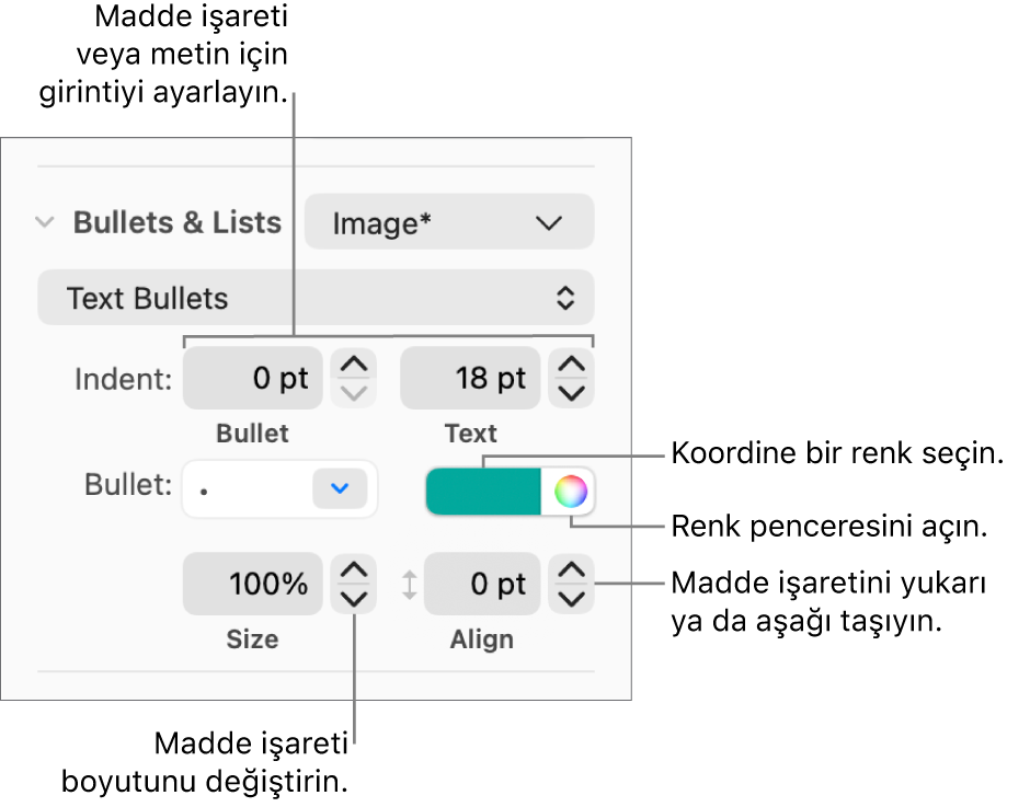 Madde işareti ve metin girintisi, madde işareti rengi, madde işareti büyüklüğü ve hizalaması için denetim belirtimlerini içeren İşaretler ve Listeler bölümü.