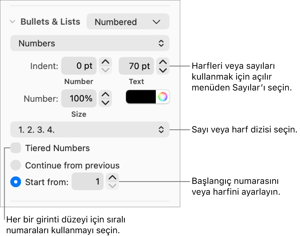 Numara stilini ve bir lise boşluğunu değiştirme denetimleri.