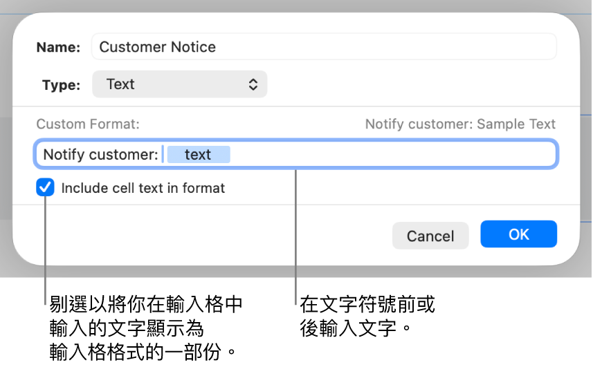自訂文字輸入格格式。