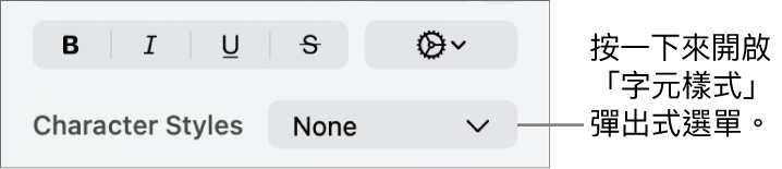 用於更改文字樣式和顏色的控制項目下方顯示「字元樣式」彈出式選單。