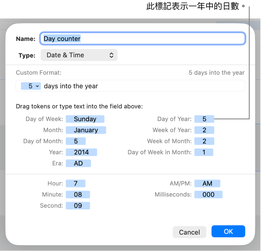帶有控制項目的自訂輸入格格式視窗，用來製作自訂日期與時間格式。