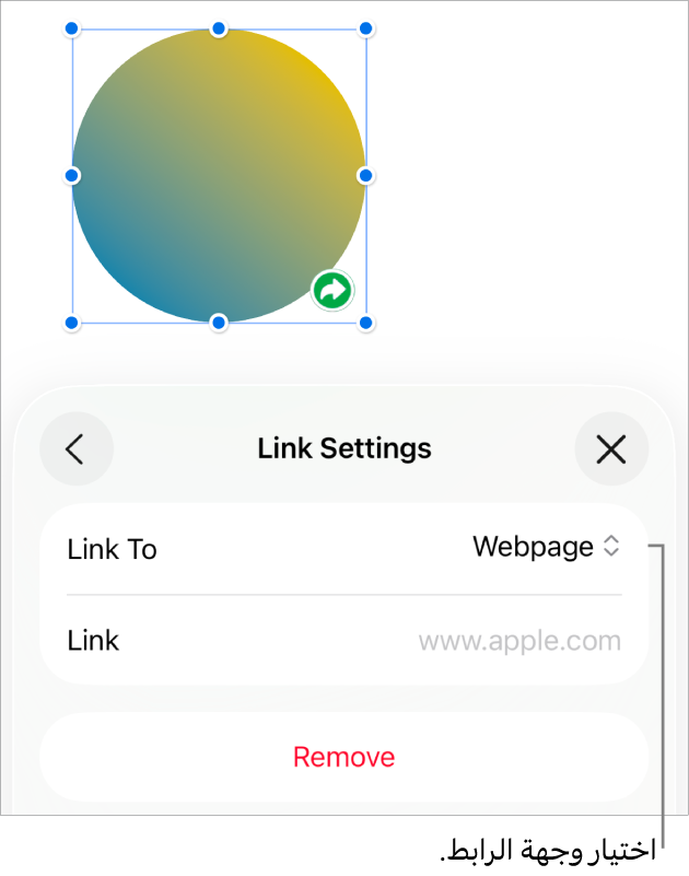 عناصر التحكم في إعدادات الرابط تعرض خيار صفحة الويب محددًا ويظهر زر إزالة في الأسفل.