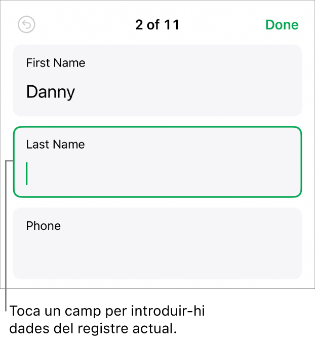 Un registre d’un formulari en què es mostra un camp actiu amb un punt d’inserció.