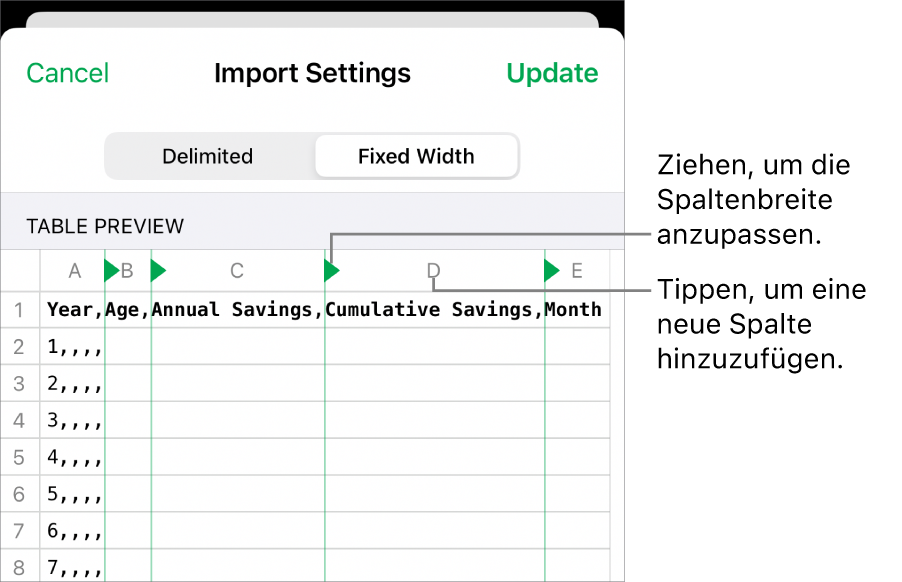 Die Importeinstellungen für eine Textdatei mit fester Breite.
