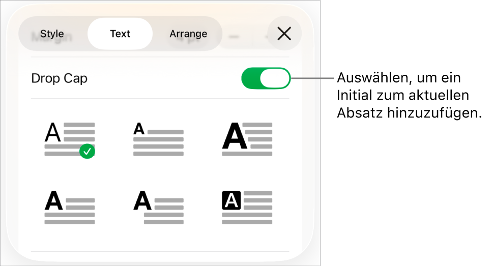 Die Steuerelemente „Initial“ im Menü „Text“