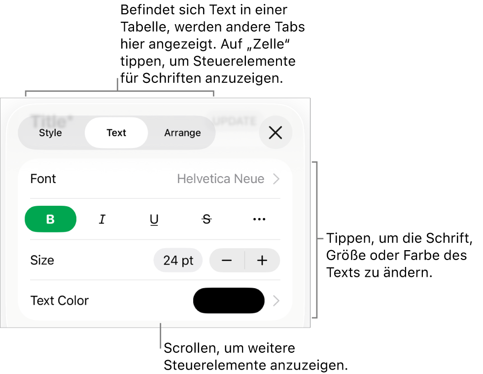 Textsteuerelemente im Menü „Format“ zum Festlegen von Absatz- und Zeichenstilen, Schrift, Größe und Farbe