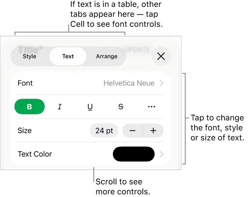Text controls in the Format menu for setting paragraph and character styles, font, size and colour.