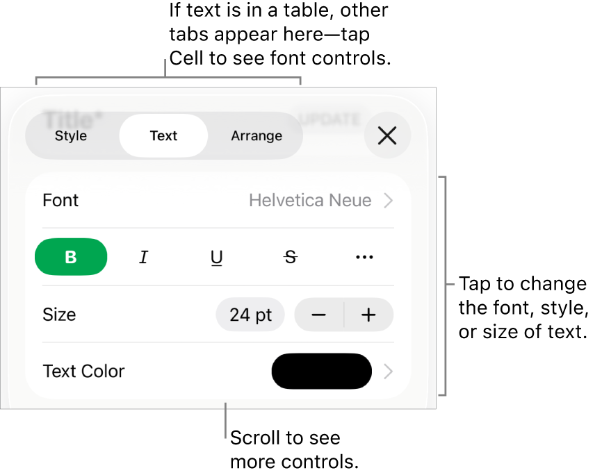 Text controls in the Format menu for setting paragraph and character styles, font, size, and color.