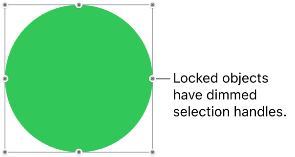 A locked object with dimmed selection handles.
