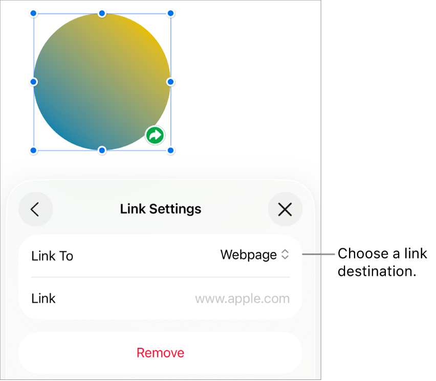 The Link Settings controls with Webpage selected, and the Remove button at the bottom.