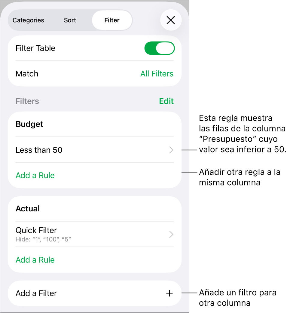 Controles para añadir reglas de filtro nuevas o editar las existentes.