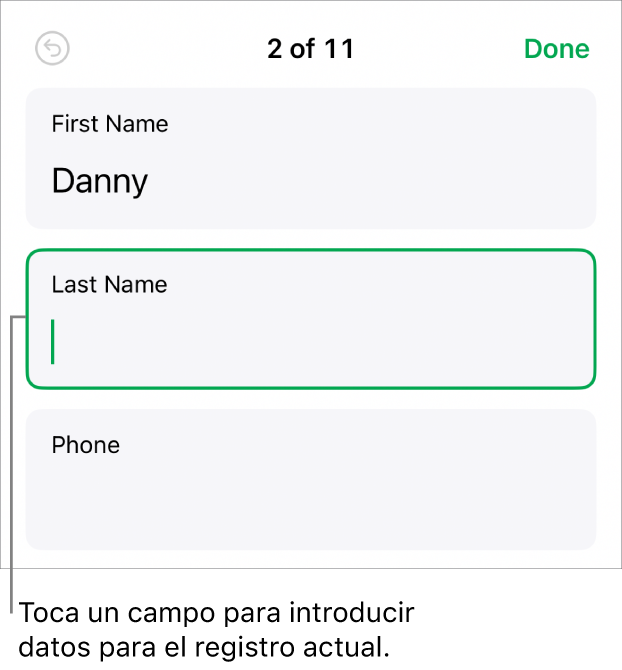 Un registro de un formulario, con un campo activo con un punto de inserción.