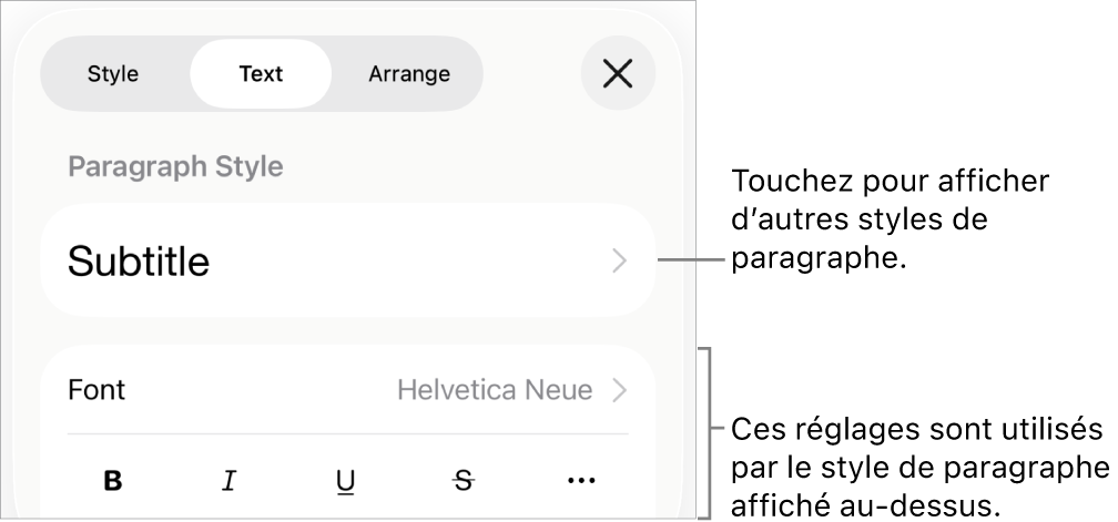 Menu Format avec commandes de texte permettant de définir les styles, la police, la taille et la couleur des paragraphes et des caractères.