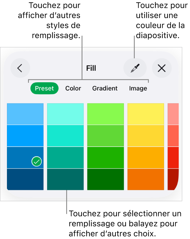 Options de remplissage de l’onglet Style du bouton Format.