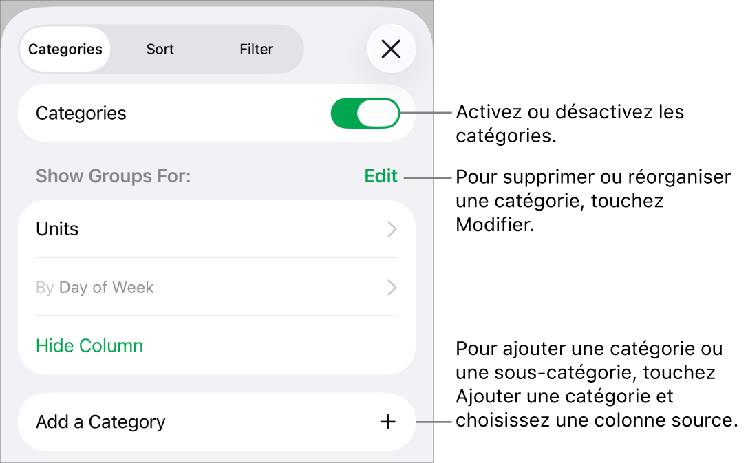 Le menu Catégories pour l’iPhone avec des options pour désactiver des catégories, supprimer des catégories, regrouper des données, masquer une colonne source et ajouter des catégories.