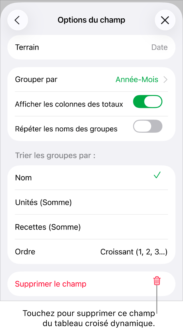 Le menu « Options du champ » affichant les commandes permettant de regrouper et de trier les données, ainsi que l’option de suppression d’un champ.