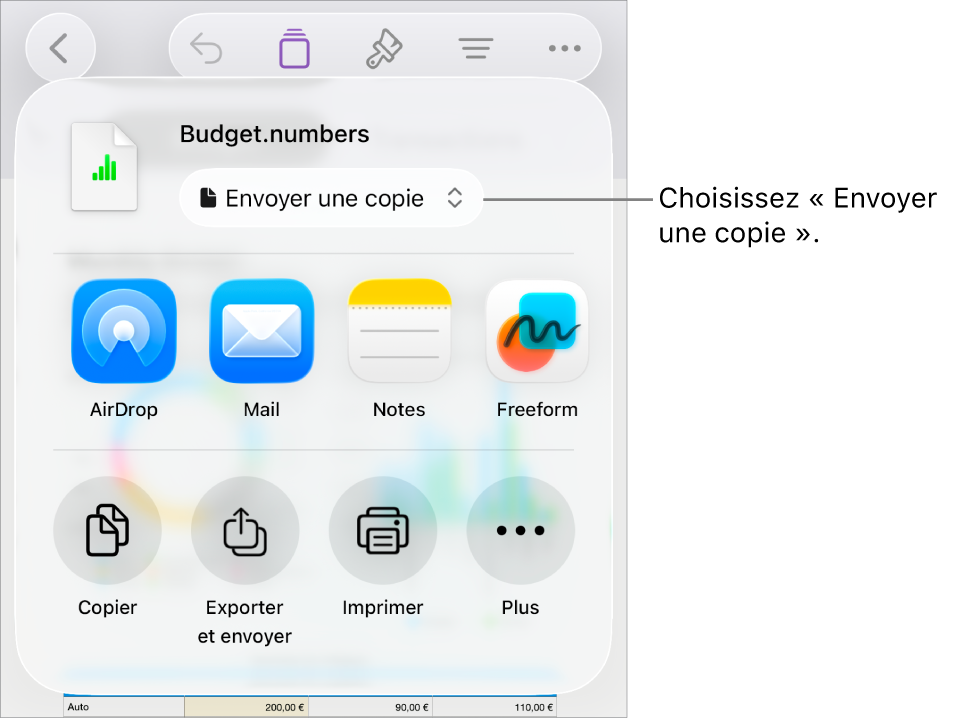 Le menu Partager avec l’option Envoyer une copie sélectionnée en haut.