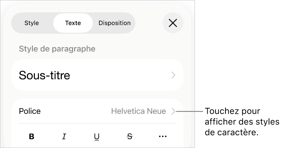 Les commandes de mise en forme avec les styles de paragraphe en haut, suivis des commandes de police. En dessous de Police se trouvent les boutons Gras, Italique, Souligné, Barré et « Plus d’options de texte ».