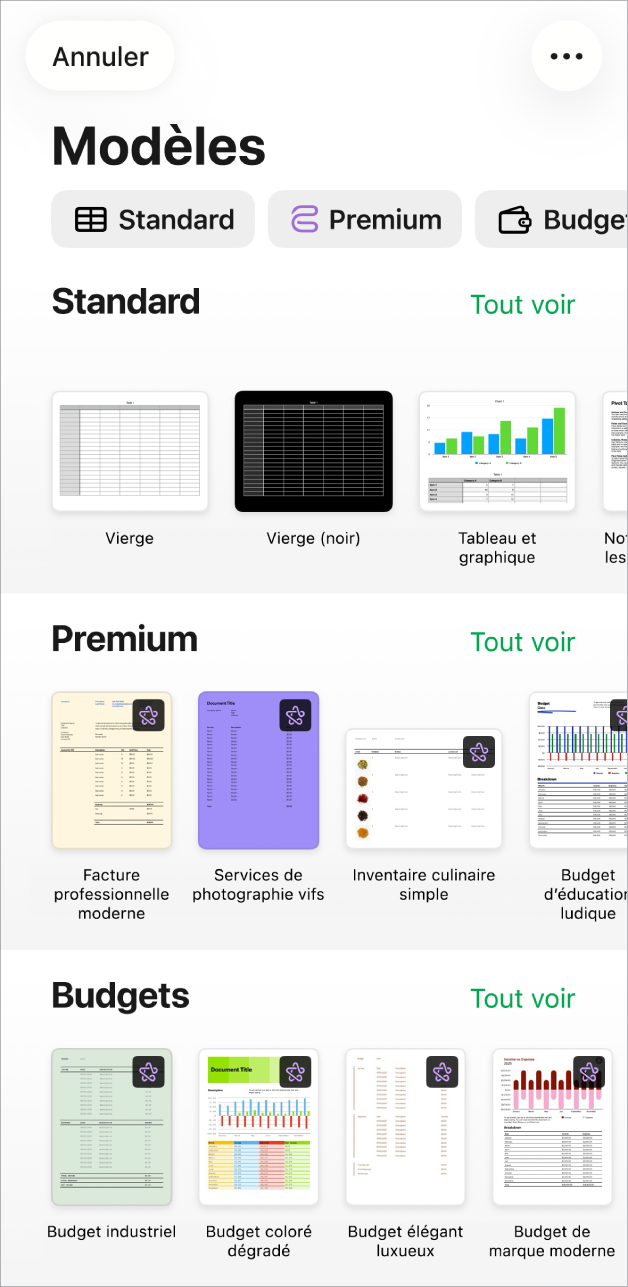 La liste de modèles, avec un rang de catégories en haut que vous pouvez toucher pour filtrer les options. En dessous, vous trouverez les vignettes des modèles prédéfinis disposées en rangs par catégorie, en commençant par Standard en haut, puis Finance personnelle, Personnel et Affaires. Un bouton Tout afficher apparaît à droite au-dessus du rang de chaque catégorie. Le bouton Annuler se trouve dans le coin supérieur gauche.
