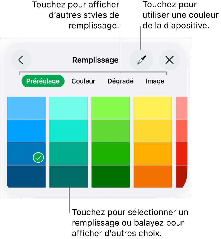 Options de remplissage de l’onglet Style du bouton Format.