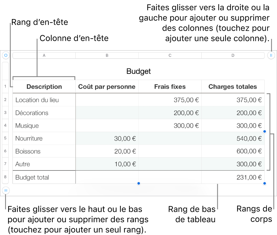 Tableau affichant des rangs et des colonnes d’en-tête, de corps et de bas de tableau, et poignées pour ajouter ou supprimer des rangs ou des colonnes.
