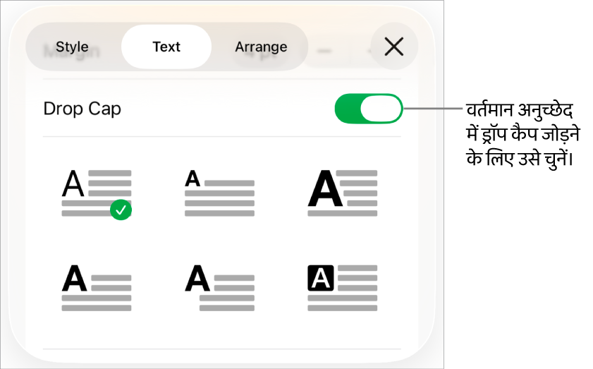 ड्रॉप कैप नियंत्रण टेक्स्ट मेनू के नीचे होते हैं।