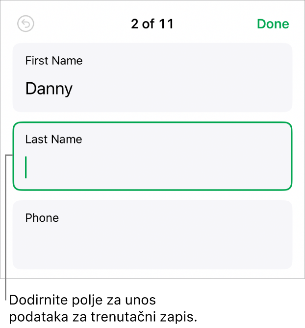 Zapis u obrascu s prikazom aktivnog polja s točkom umetanja.