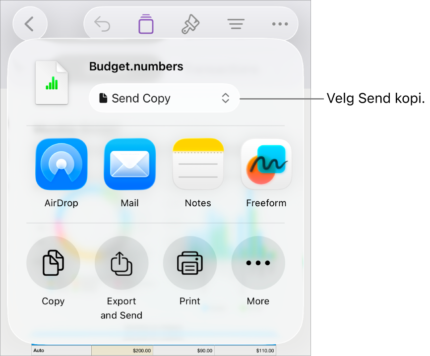 Del-menyen med Send kopi markert øverst.