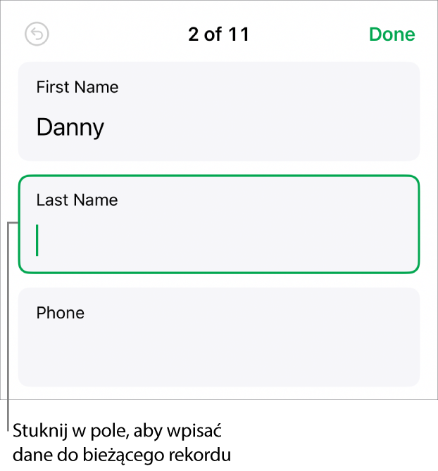 Rekord formularza pokazujący aktywne pole z punktem wstawiania.