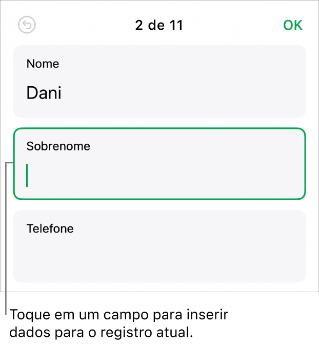 Um registro em um formulário mostrando um campo ativo com um ponto de inserção.