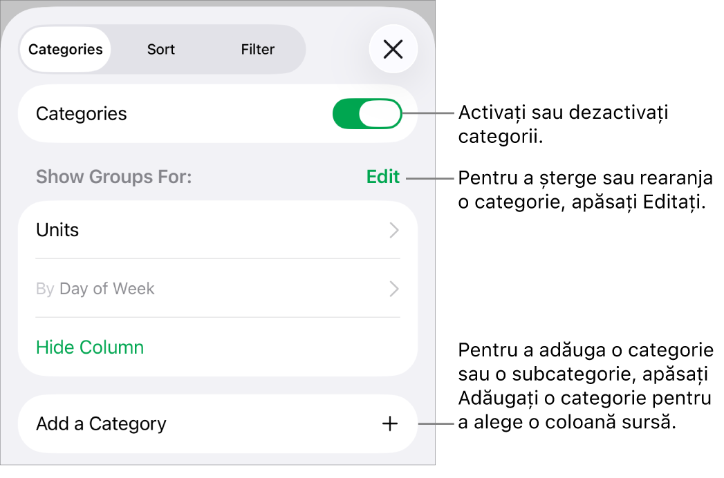 Meniu Categorii pentru iPhone cu opțiuni pentru a dezactiva categoriile, șterge categoriile, regrupa datele, ascunde o coloană sursă și a adăuga categorii.