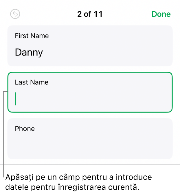 O înregistrare dintr-un formular afișând un câmp activ cu un punct de inserare.
