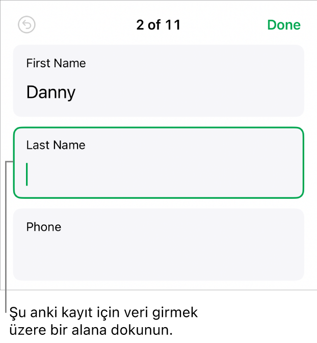 Ekleme noktası ile etkin bir alanı gösteren formdaki bir kayıt.