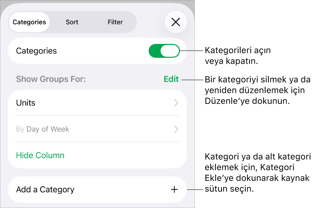 Kategorileri kapatma, kategorileri silme, verileri yeniden gruplama, kaynak sütunu gizleme ve kategori ekleme seçeneklerini içeren, iPhone için Kategoriler menüsü.