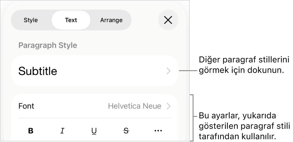 Paragraf ve karakter stillerini, fontu, puntoyu ve rengi ayarlamayla ilgili metin denetimlerini gösteren Biçim menüsü.
