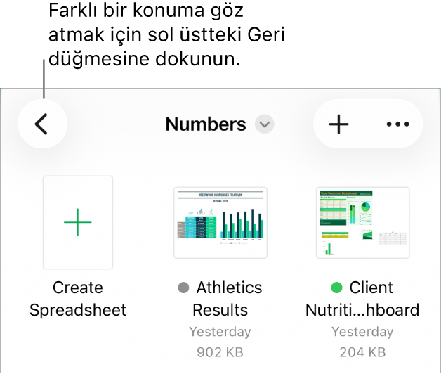 Sol üst köşede Geri düğmesi ve onun altında Arama alanıyla Belge yöneticisinin göz at görüntüsü. Ara alanının altında, var olan hesap tablolarının küçük resimlerinin yanında Hesap Tablosu Yarat düğmesi. Sağ üst köşede Ekle düğmesi ve Daha Fazlası düğmesi bulunuyor.