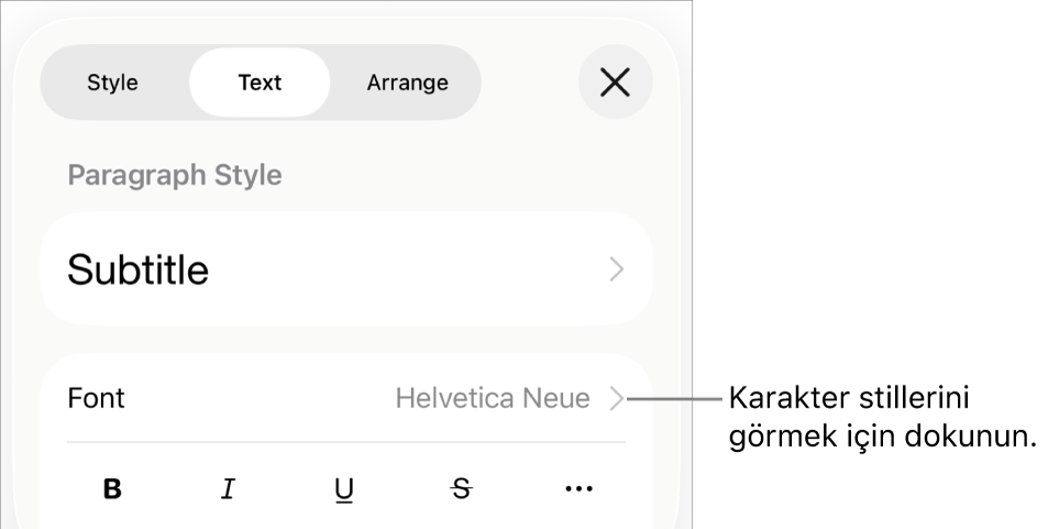 En üstteki paragraf stilleri ile Biçim denetimleri, ardından Font denetimleri. Font’un altında Kalın, İtalik, Altı Çizgili, Üstü Çizgili ve Daha Fazla Metin Seçeneği düğmeleri bulunur.