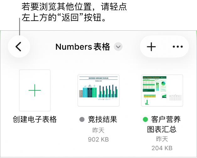 文稿管理器的浏览视图，“返回”按钮位于左上角，其下方是搜索栏。搜索栏下方是“创建电子表格”按钮，位于现有电子表格的缩略图旁边。右上角是“添加”按钮和“更多”按钮。