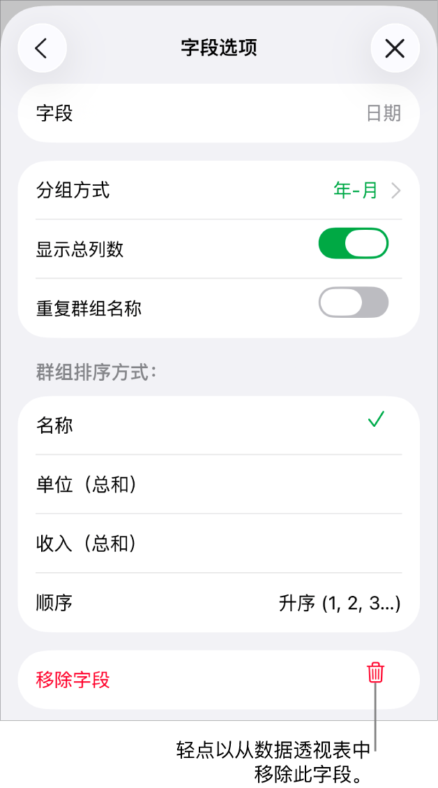 “字段选项”菜单,显示成组和排序数据的控制以及移除字段的选项。