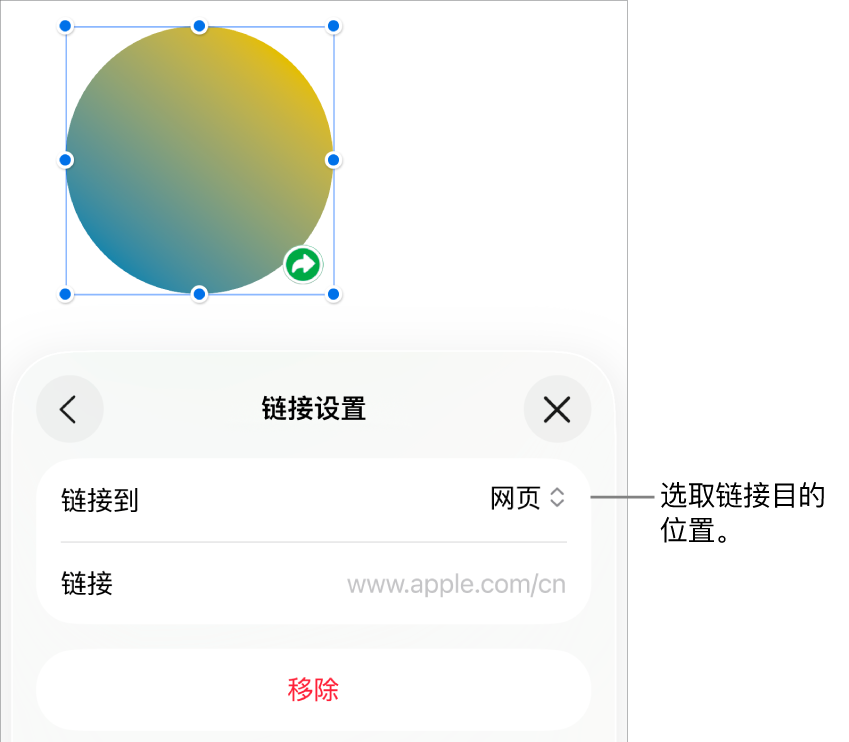 “链接设置”控制,“网页”已选中,“移除”按钮位于底部。