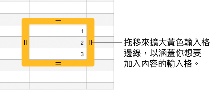 所選的輸入格帶有大的黃色邊線,你可以拖移來自動填充輸入格。