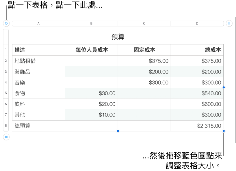 選取的表格，帶有調整大小的藍色圓點。