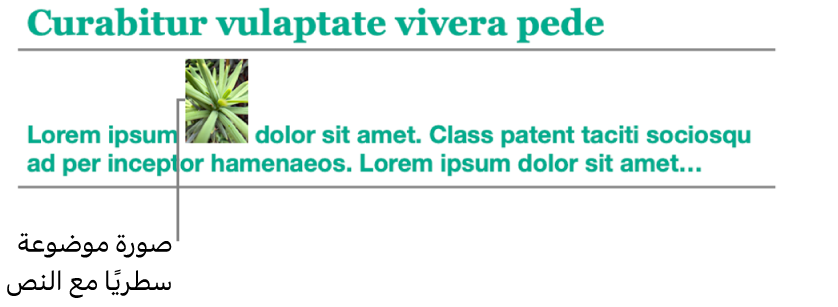 صورة في موضع سطري مع النص.