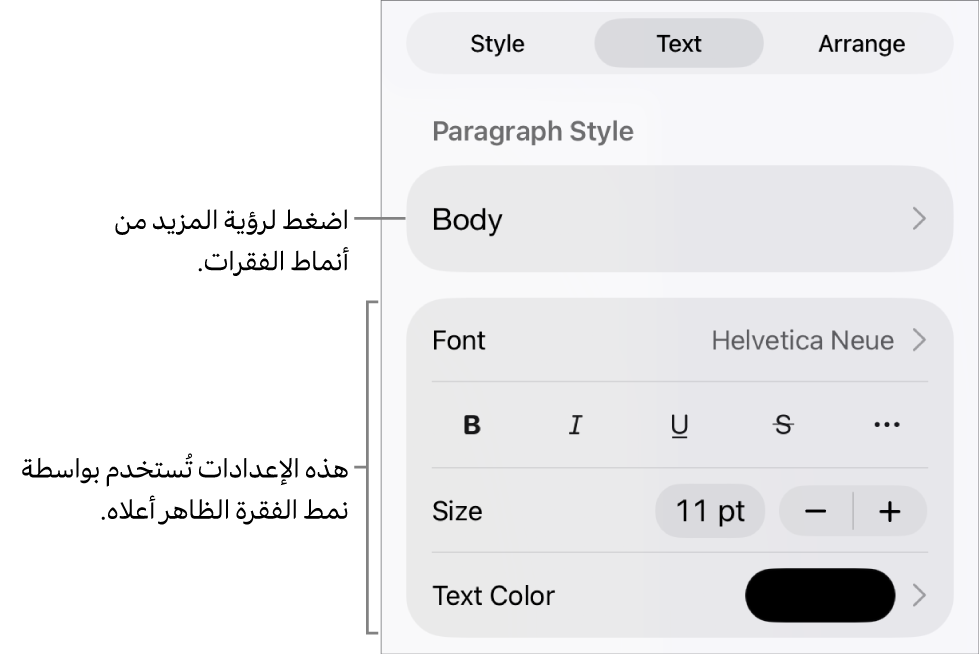 القائمة تنسيق تعرض عناصر التحكم في النص لإعداد أنماط الأحرف والفقرات والخط والحجم واللون.