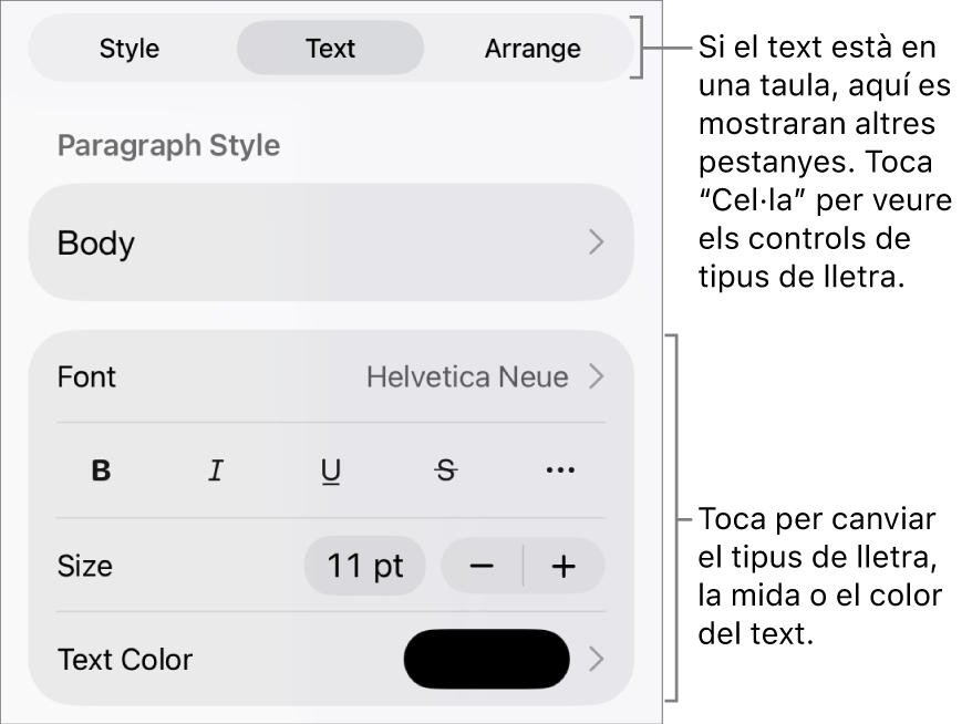 Controls de text al menú Format per definir els estils de paràgraf i de caràcter, el tipus de lletra, la mida i el color.