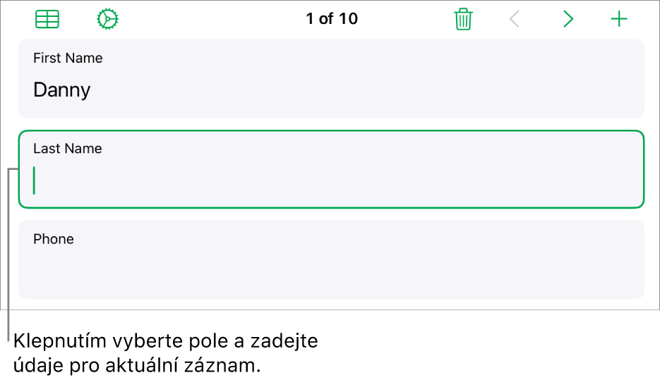 Záznam ve formuláři se zobrazeným aktivním polem, v němž se nachází kurzor