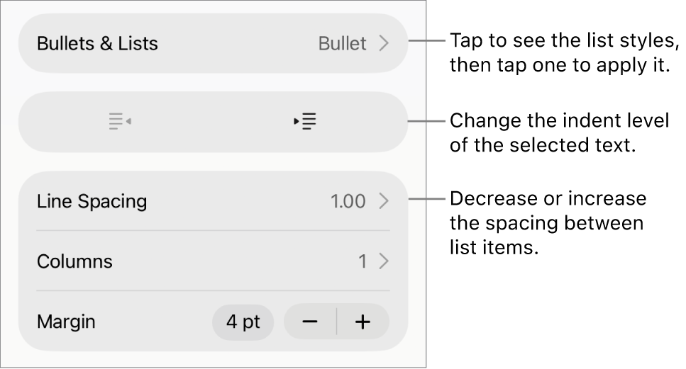 The Bullets & Lists section of the Format controls with callouts to Bullets & Lists, outdent and indent buttons, and line spacing controls.