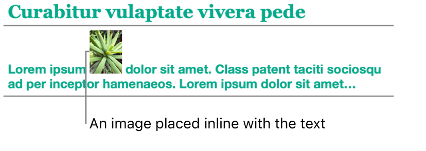 An image is placed inline with text.