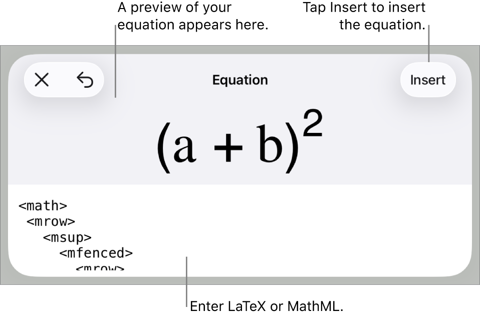 The Equation dialogue, showing an equation written using MathML commands, and a preview of the formula above.